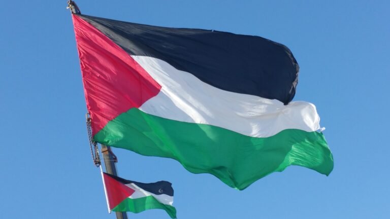 Palestine Flag: The History and Evolution of the Flag of Palestine