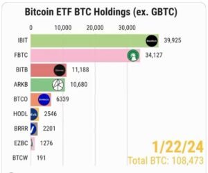 IBIT and FBTC: Early Dominance of BlackRock and Fidelity in Bitcoin ETFs, 2024